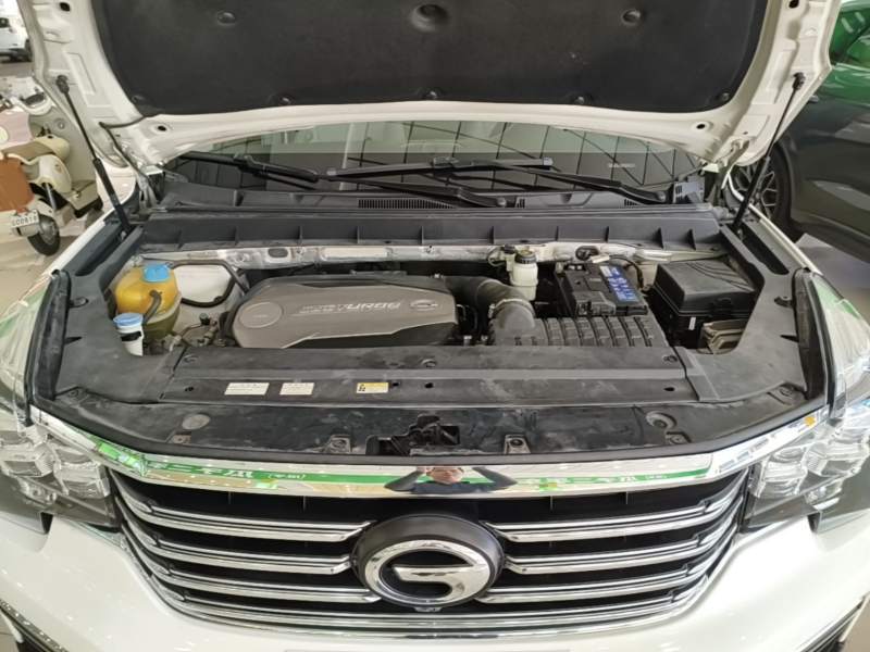 Used GAC Trumpchi GS8 2017 320T Two-Wheel Drive Luxury Smart Connectivity Version (7 Seats) — 19