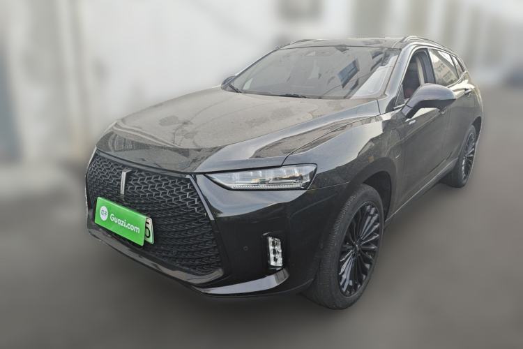 Used Wey P8 2018 2.0T Flagship Model