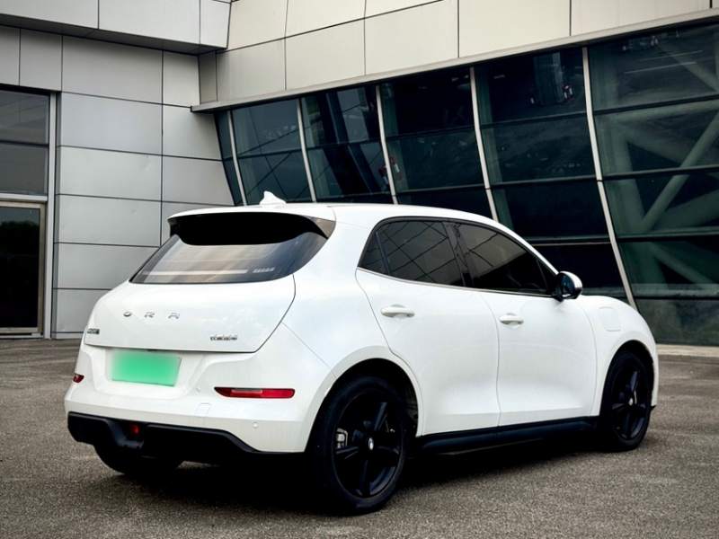 Used ORA Good Cat 2024 401 km Luxury Version — 12