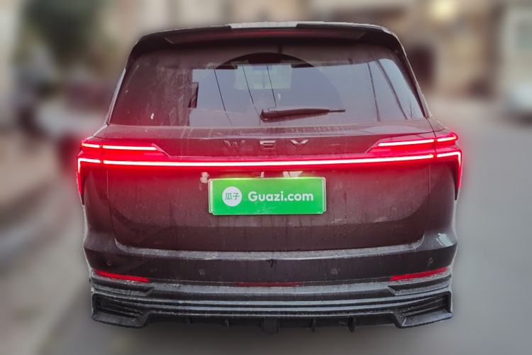 Used Wey Lanshan 2023 Four-Wheel Drive Ultra-Long Range Version
