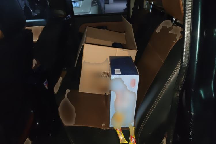 Used JMC Baodian 2018 2.9T New Value-Added 4x4 Diesel Comfort Version with Standard Cargo Bed – JX4D30B5L Left Rear Seat