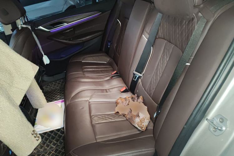 Used BMW 5 Series 2018 Revised Version 530Li Leading Edition Luxury Package
