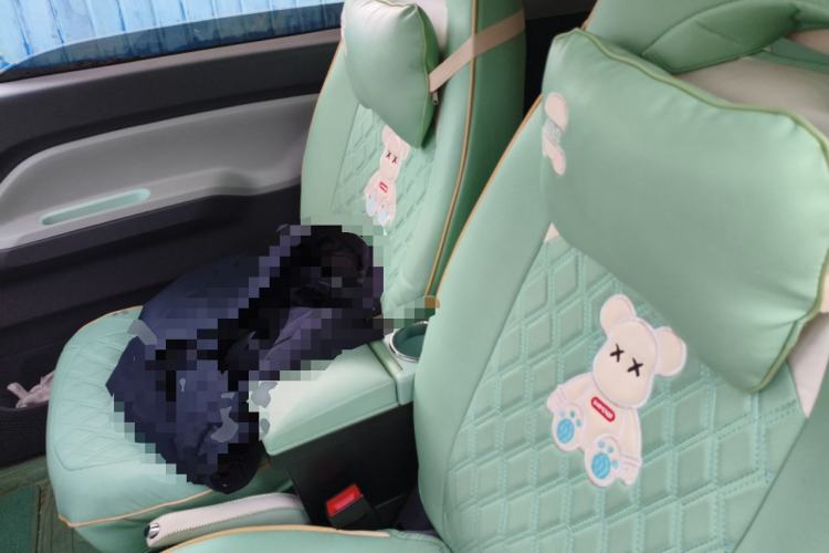 Used Wuling Hongguang MINIEV 2022 Macaron Fashion Model Lithium Iron Phosphate Left Front Seat