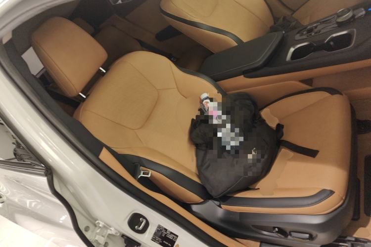 Used Lexus RZ 2023 450e All-Wheel Drive Luxury Edition Right Front Seat