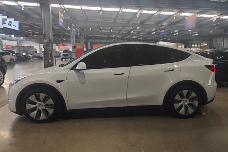 Used Tesla Model Y 2021 Standard Range Rear-Wheel Drive Version
