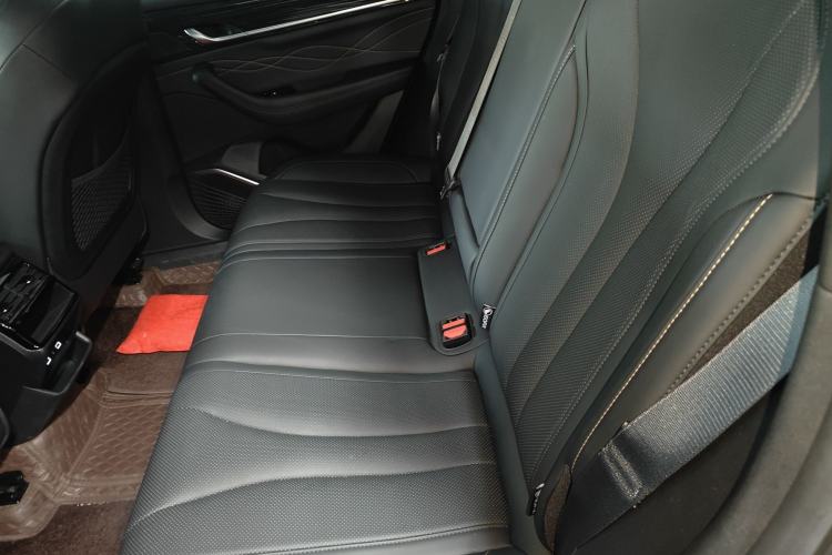 Used Geely Auto Monjaro L 2024 2.0TD DCT EVO Two-Wheel Drive Long-Range Version Left Rear Seat