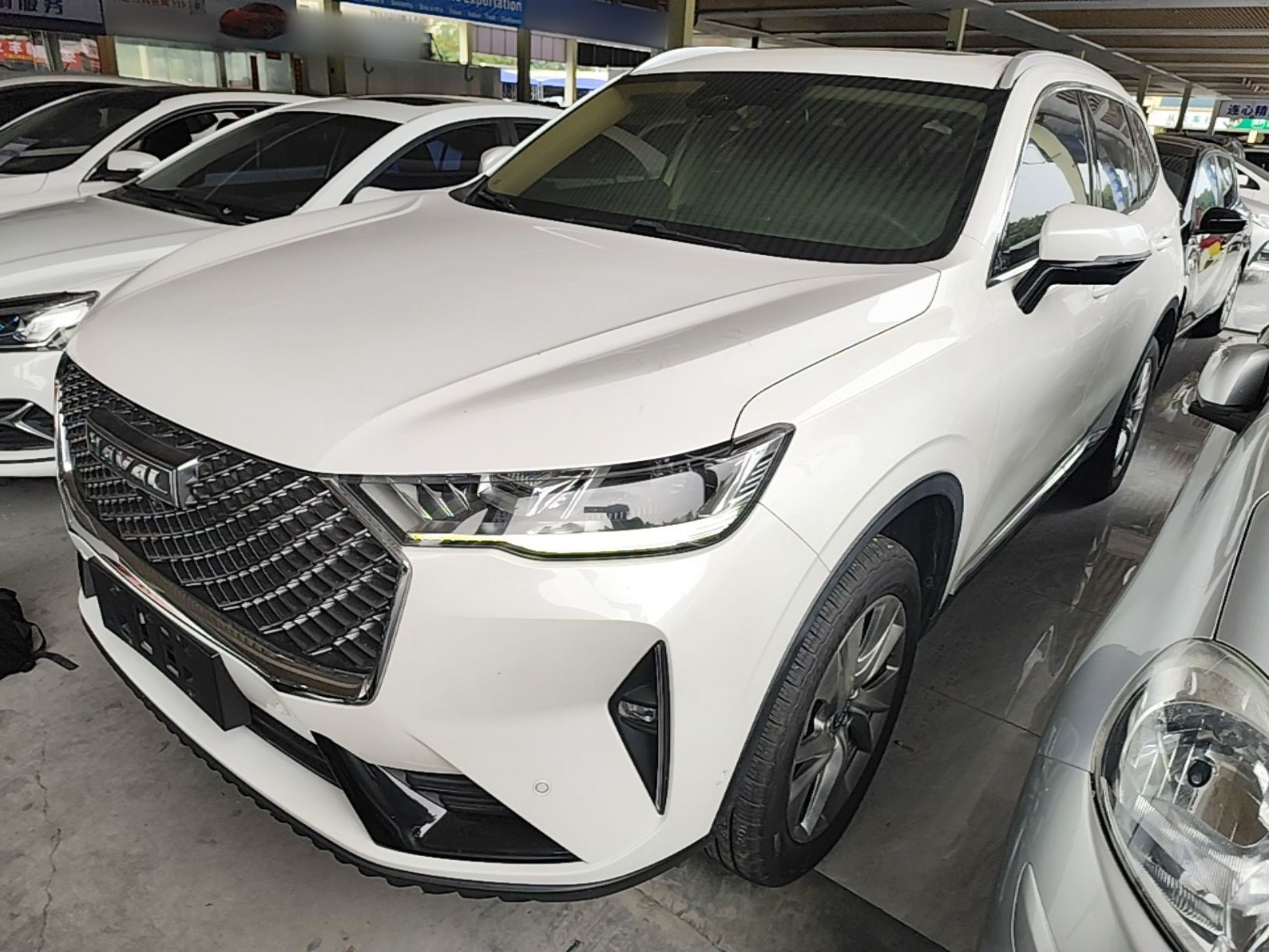 Under Front Bumper