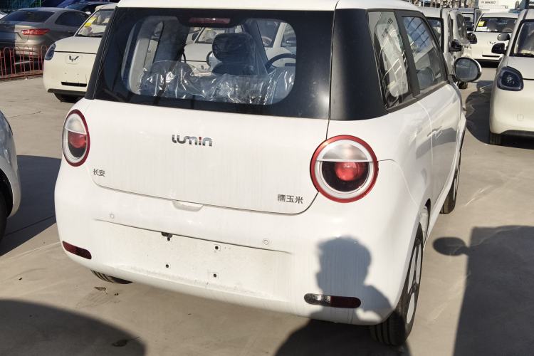 Used Qiyuan Lumin 2025 205 km Xiangqin Version
