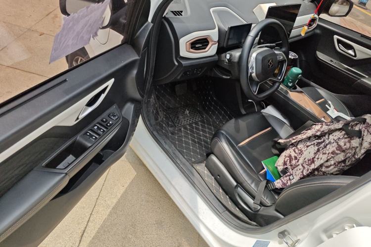 Used SOL E10X 2022 Flower Fairy Design Four-Leaf Clover