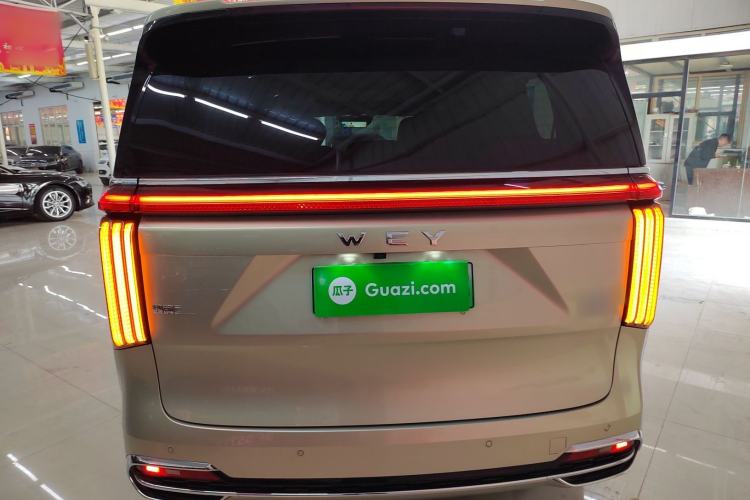 Used Wey Gaoshan 2023 Four-Wheel Drive Flagship Edition Rear