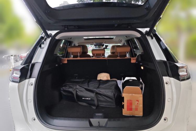 Used WM Motor W6 2021 520km PRO All-Round Edition