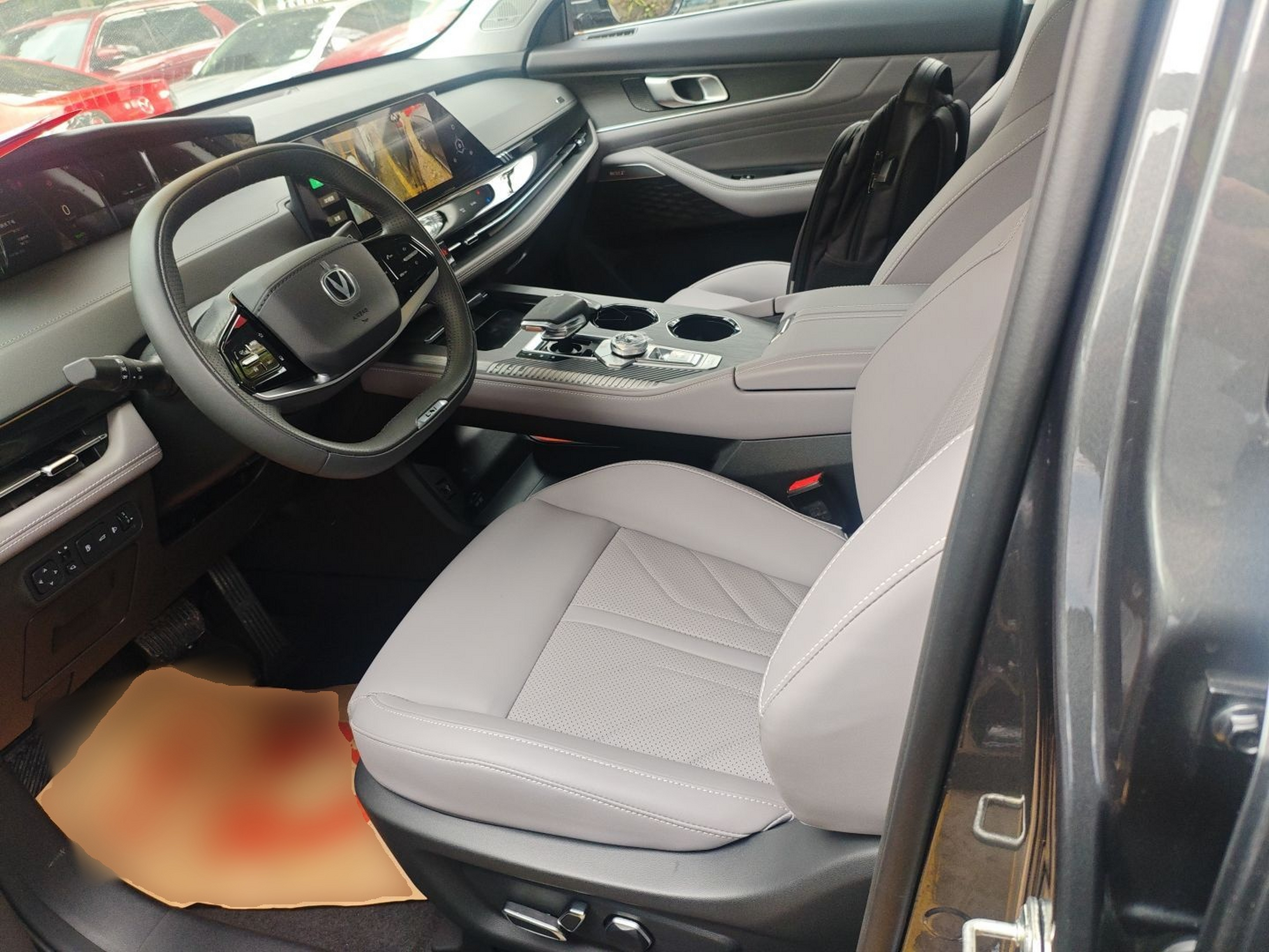 Interior delantero