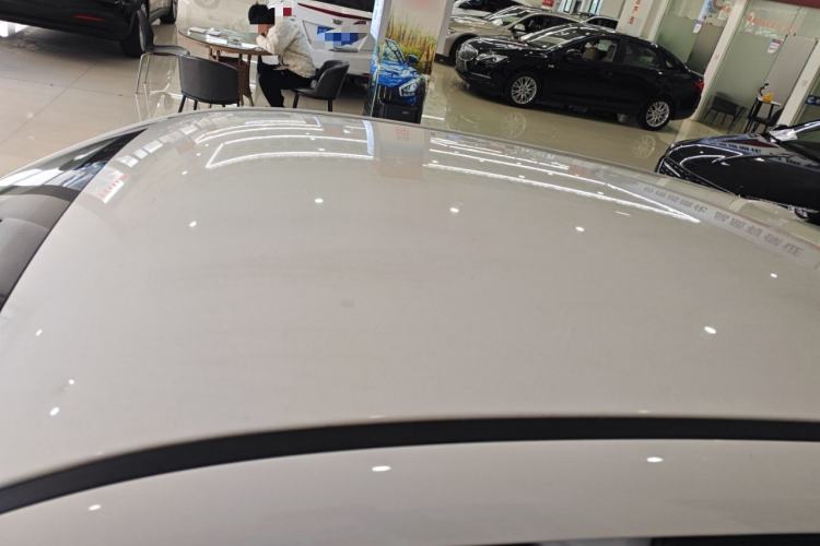 Used ORA Black Cat 2021 301 km Basic Version