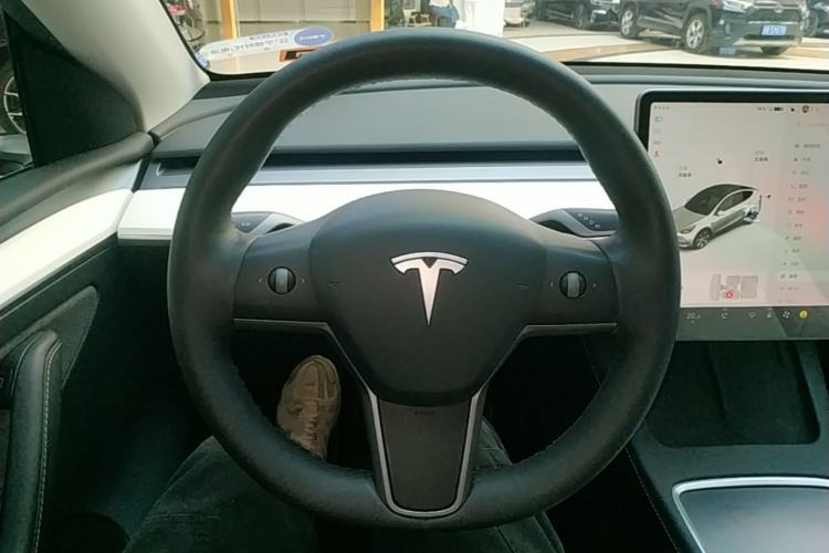 Used Tesla Model Y 2021 Standard Range Rear-Wheel Drive Version
