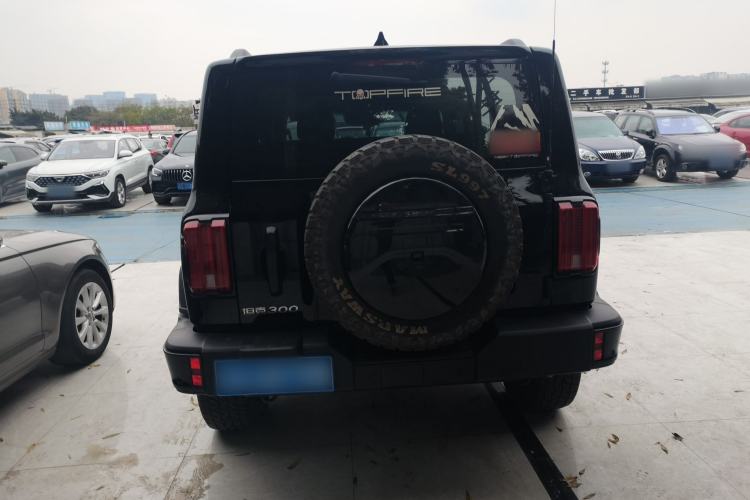 Used Tank 300 2024 2.0T Conqueror
