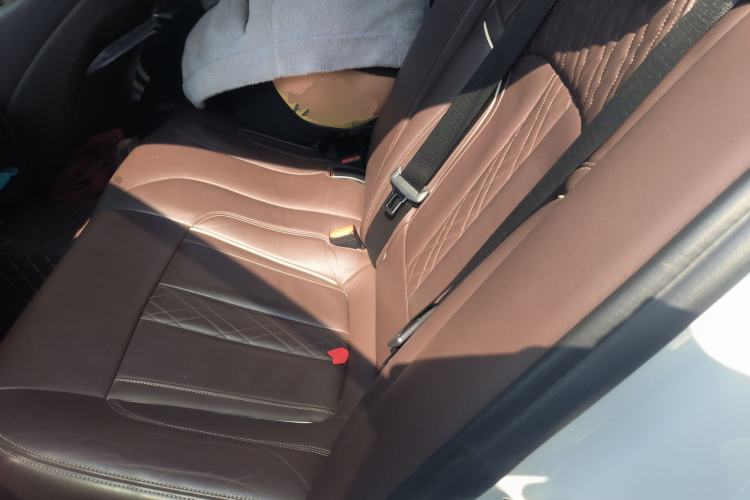 Used BMW 5 Series New Energy 2019 530Le Luxury Package
