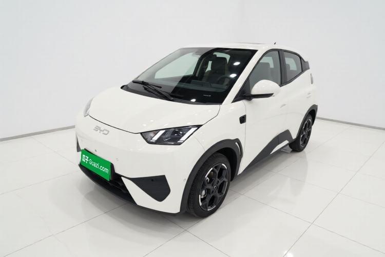 Used BYD Seagull 2025 Smart Drive Version 305 km Freedom Edition