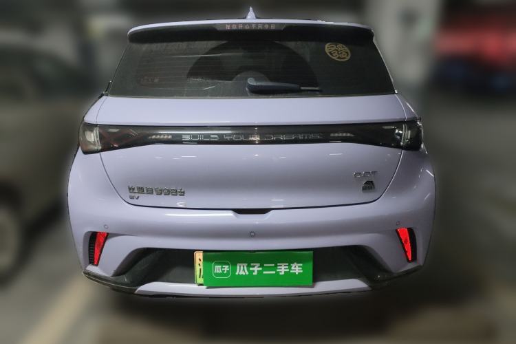 Used BYD Dolphin 2023 420 km Fashion Edition Rear