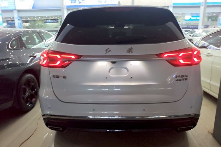 Used Hongqi HS5 2019 2.0T Smart Connect Flagship Edition Rear