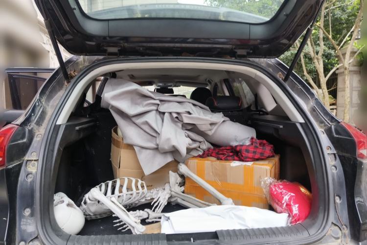 Used Leopaard CS10 2017 1.5T Manual Prestige Model Trunk