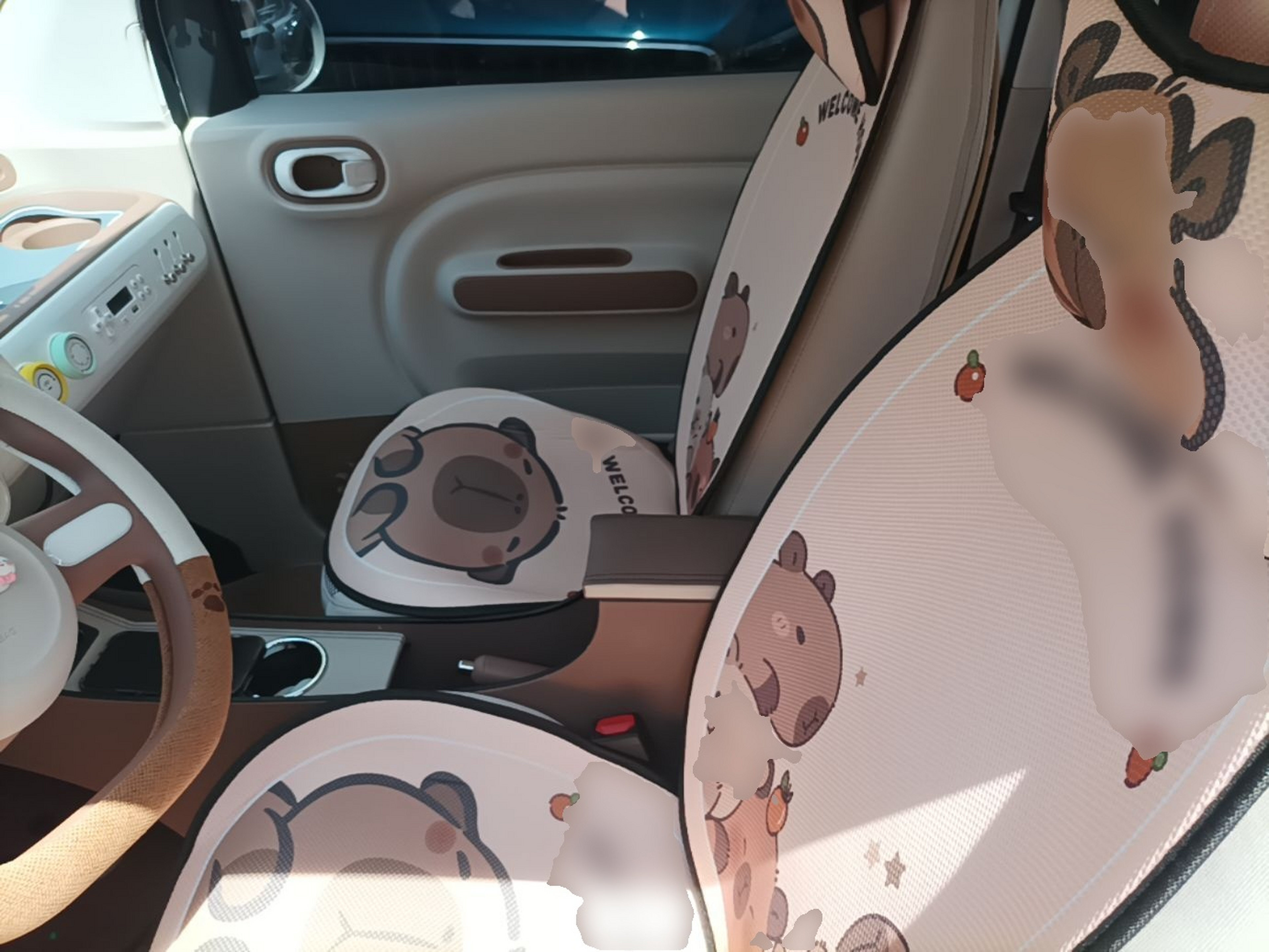 Interior delantero