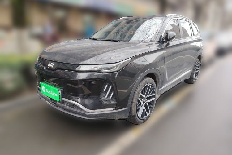 Used WM Motor EX6 2020 Plus Founder's Edition – First Launch