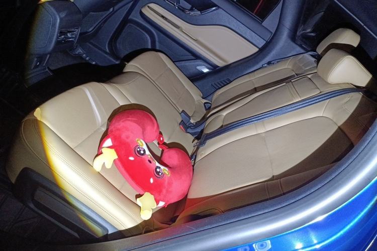 Used Lincoln Corsair 2022 2.0T Two-Wheel Drive Luxury Edition