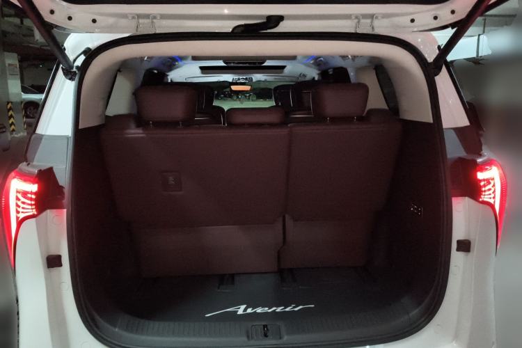 Used Buick Century 2023 2.0T Seven-Seater Yinshi Edition