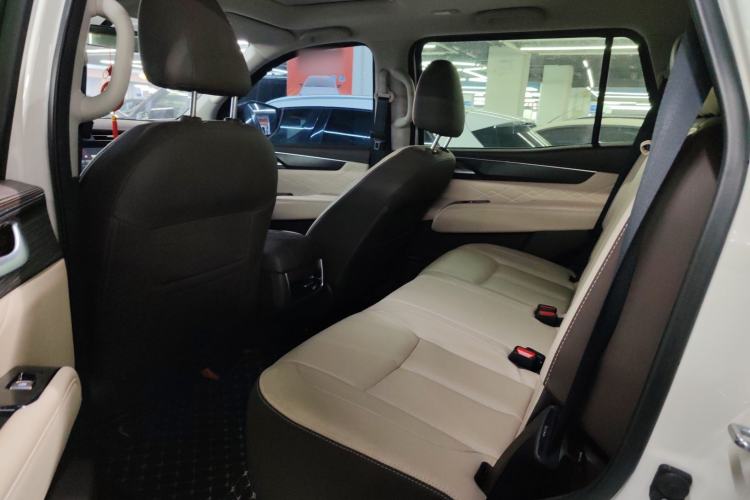 Used Dongfeng Fengdu Paladin 2023 2.0T Four-Wheel Drive Luxury Edition