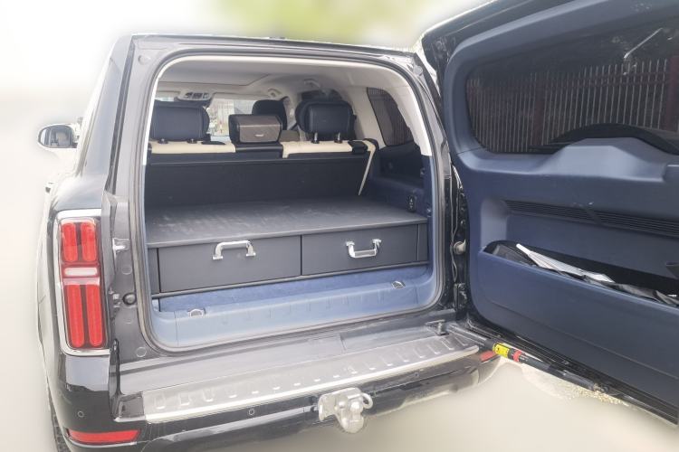 Used Tank 500 New Energy 2024 Hi4-T
