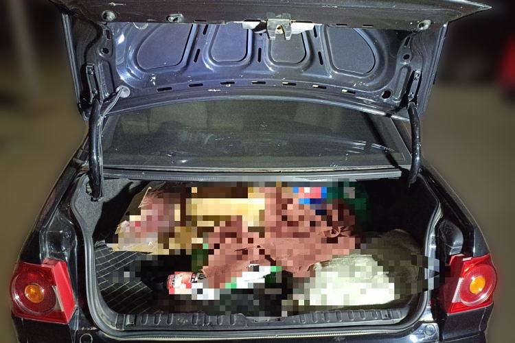 Used Volkswagen Santana Vista 2008 1.8L Manual Comfort Edition Trunk