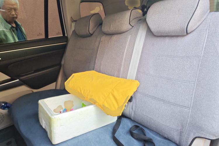 Used GAC Trumpchi GS8 2017 320T Two-Wheel Drive Luxury Smart Connectivity Version (7 Seats) Left Rear Seat