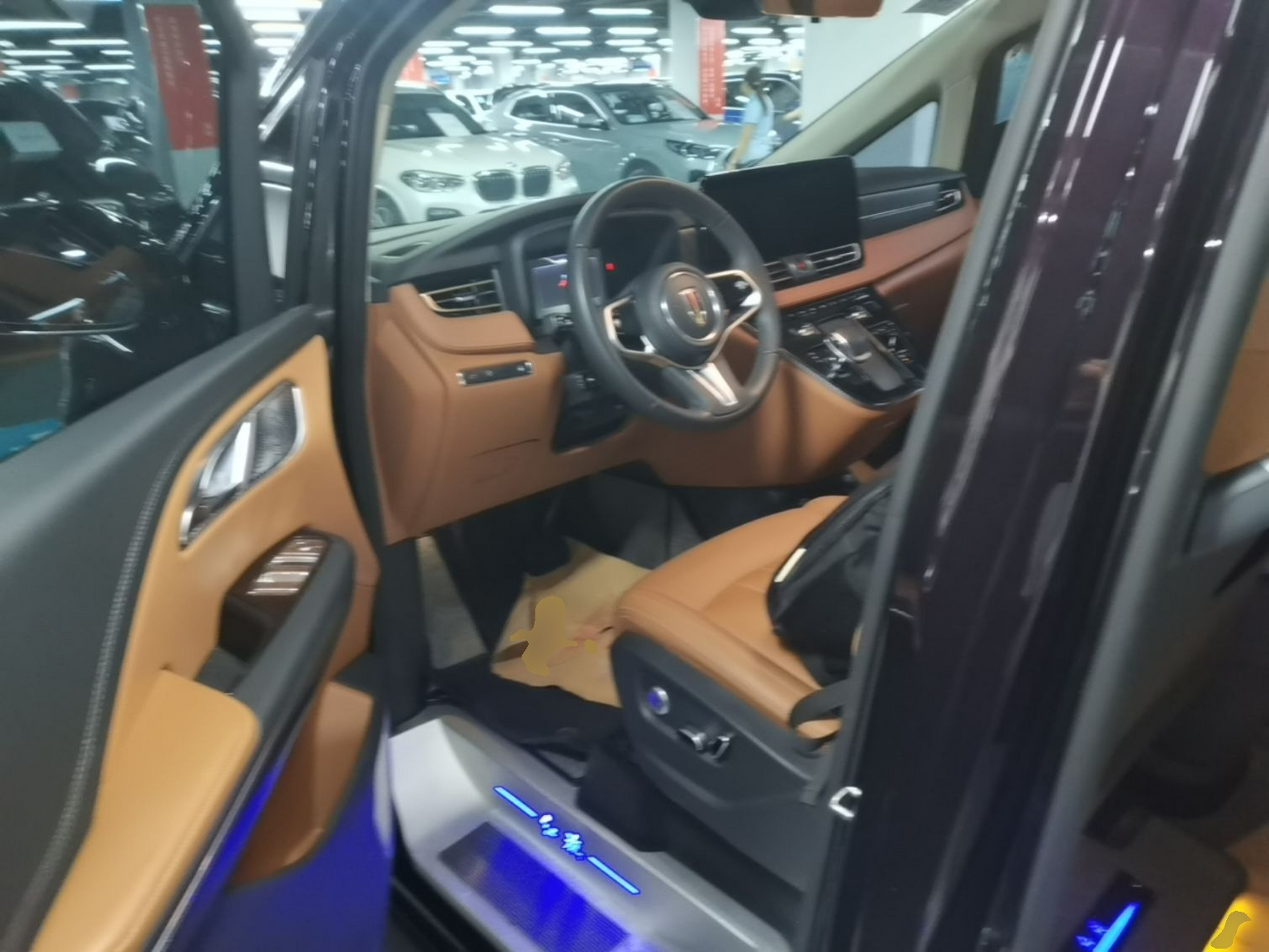 Interior delantero