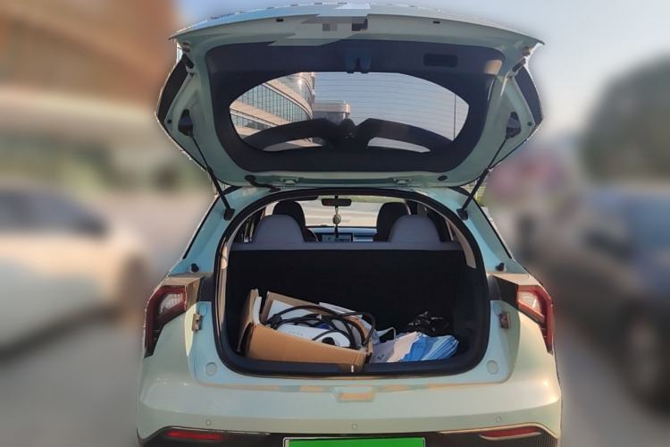 Used Geometry E Firefly 2022 401 km Linglong Tiger 4 Seats