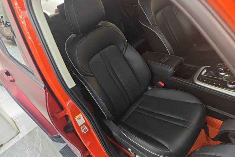 Used Tank 300 2024 2.0T Crosser