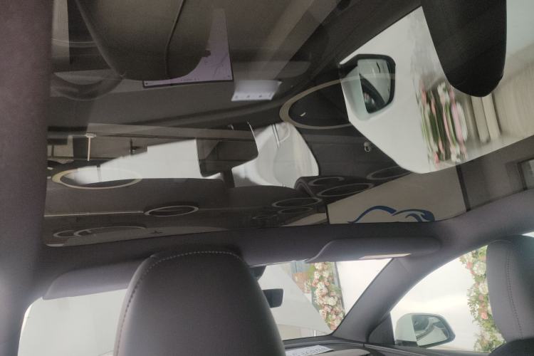 Used Tesla Model Y 2026 Rear-Drive Model Headliner