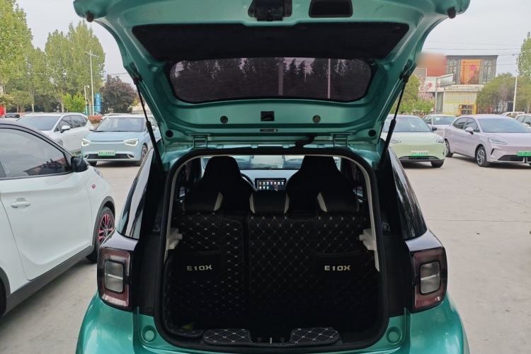 Used SOL E10X 2022 Flower Fairy Design Four-Leaf Clover Trunk