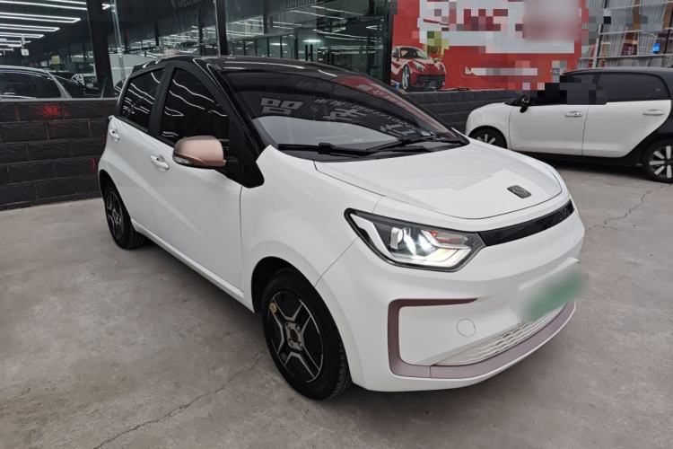 Used SOL E10X 2022 Flower Fairy Design Four-Leaf Clover