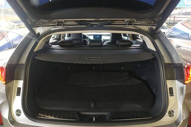 Used Wey P8 2018 2.0T Premium Edition