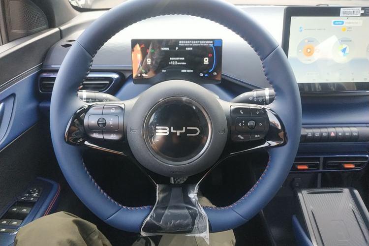 Used BYD Seagull 2025 305 km Free Version