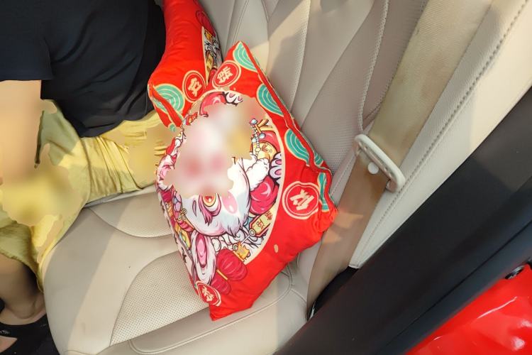 Used XPeng G3 2020 520 Smart Edition Left Rear Seat