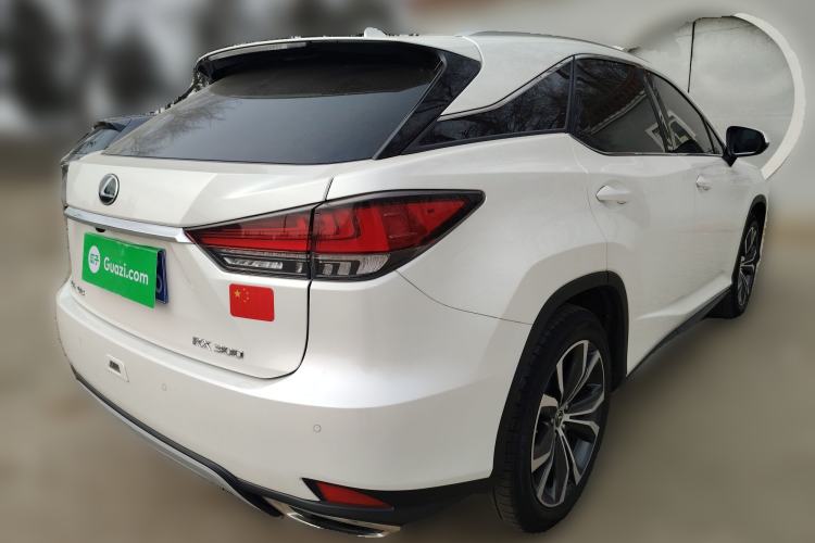 Used Lexus RX 2020 300 4x4 Elegant Edition China VI