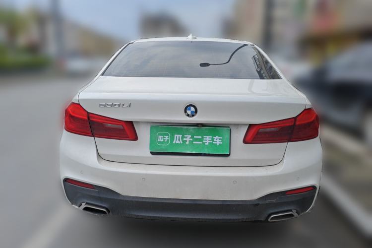 Used BMW 5 Series 2020 530Li Leading Model M Sport Package Rear