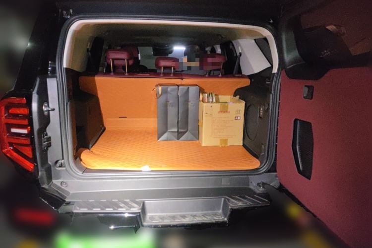 Used Tank 400 2025 2.0T Gasoline Version