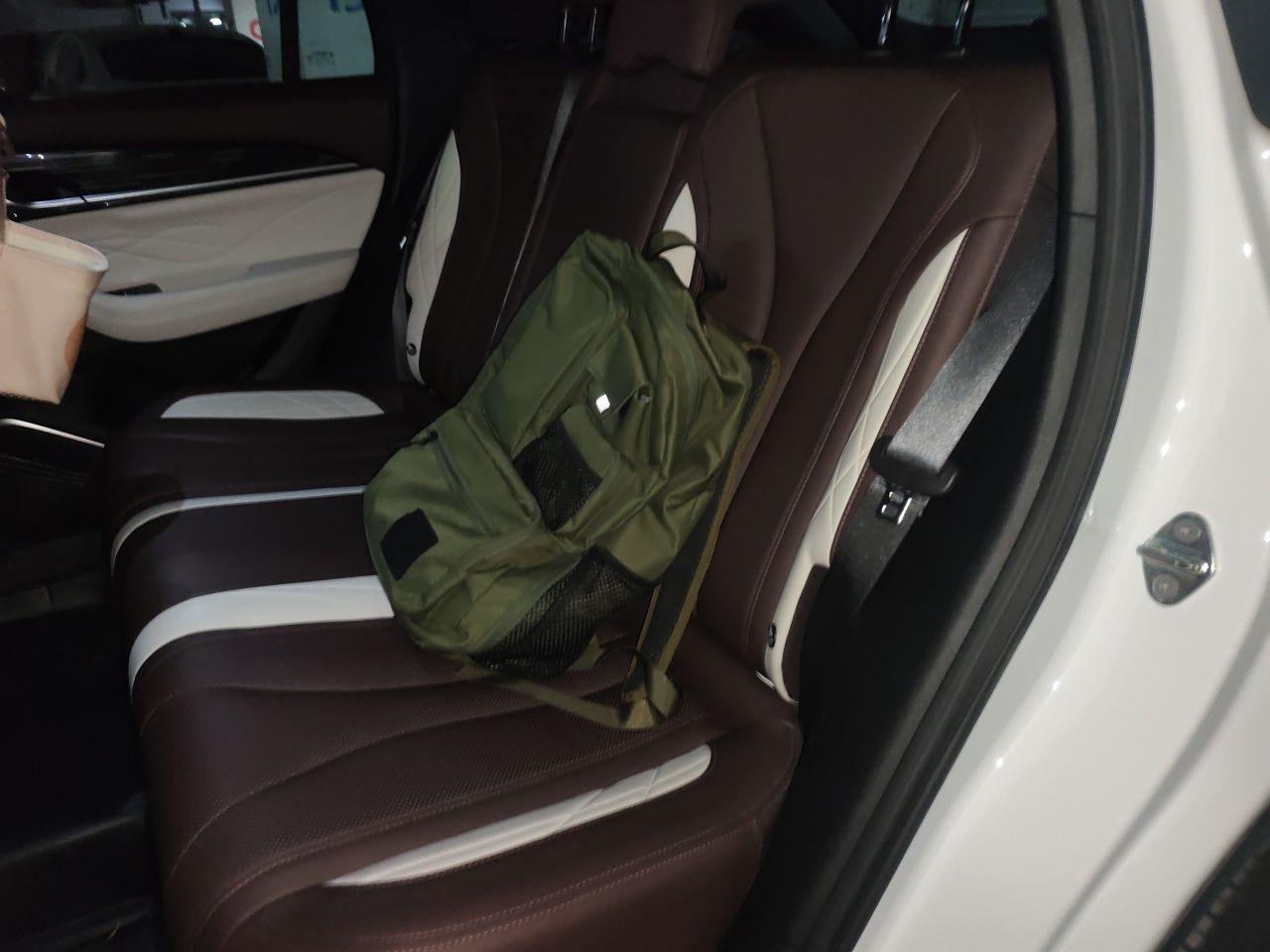 Geely Auto Monjaro L 2021 2.0TD High-Power Automatic All-Wheel Drive Luxury Version — снимка 17
