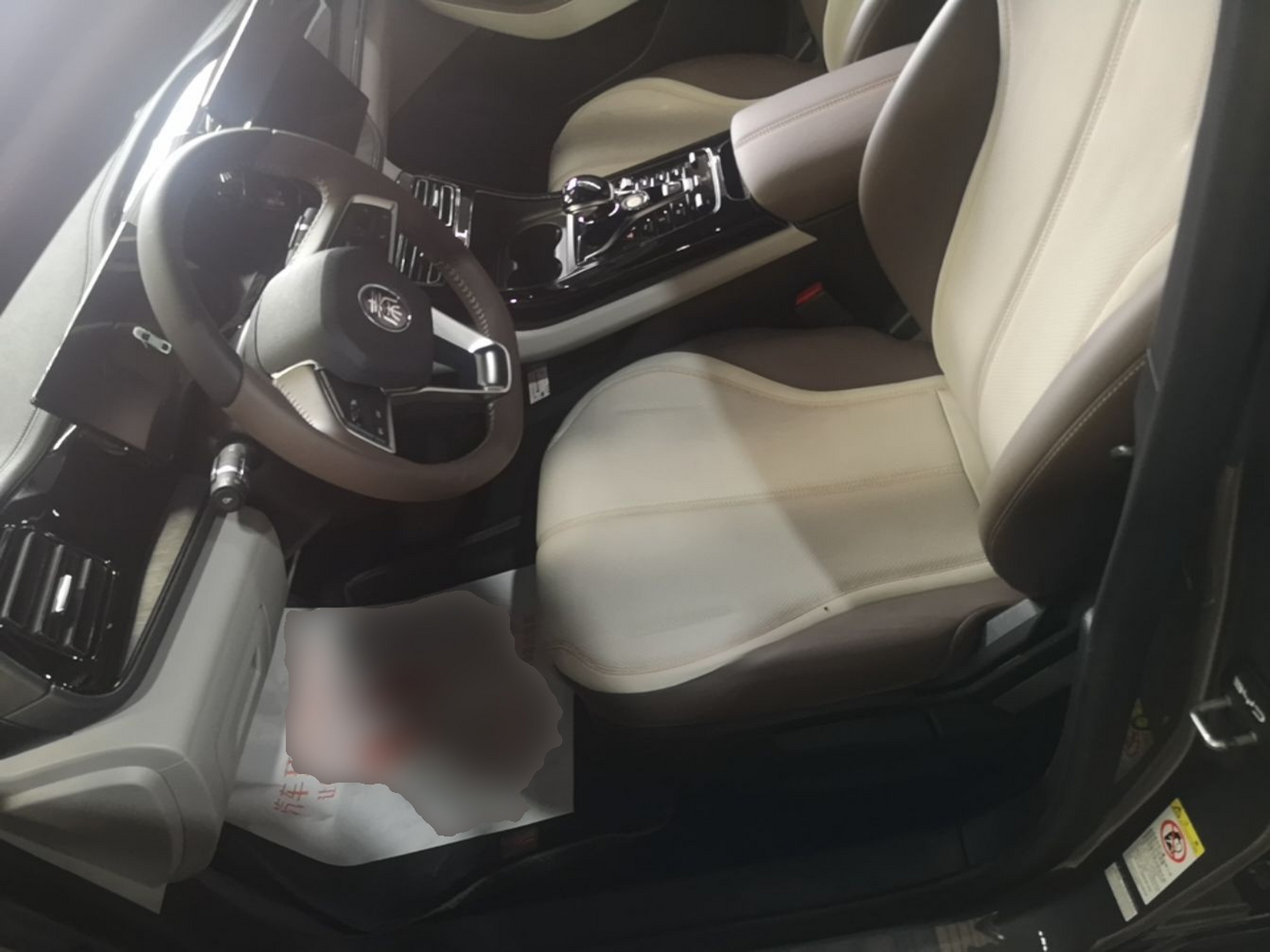 Interior delantero
