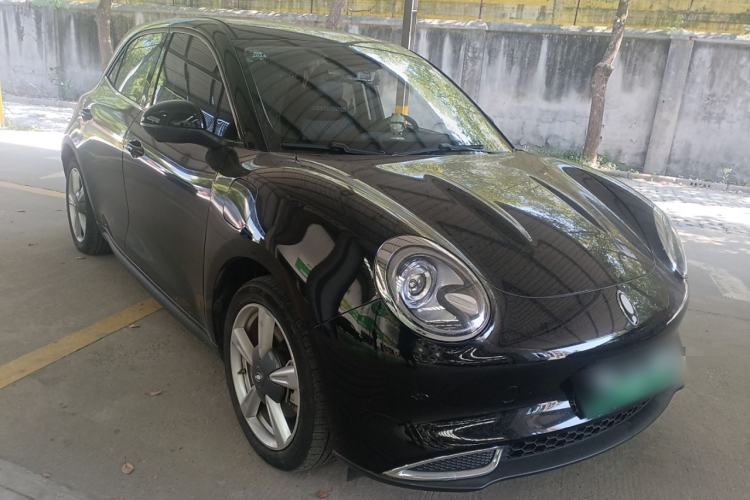 Used ORA Good Cat 2022 400km Standard Range Luxury Version Lithium Iron Phosphate
