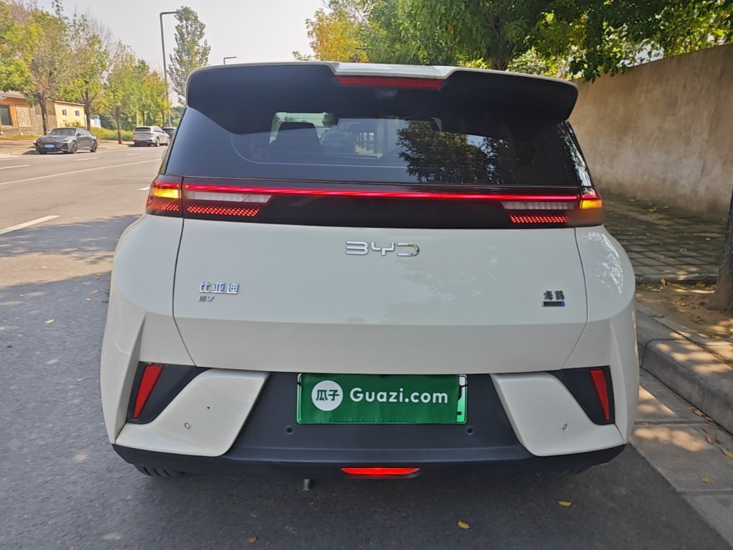 BYD Seagull 2025 Smart Drive Version 305 km Freedom Edition — снимка 5