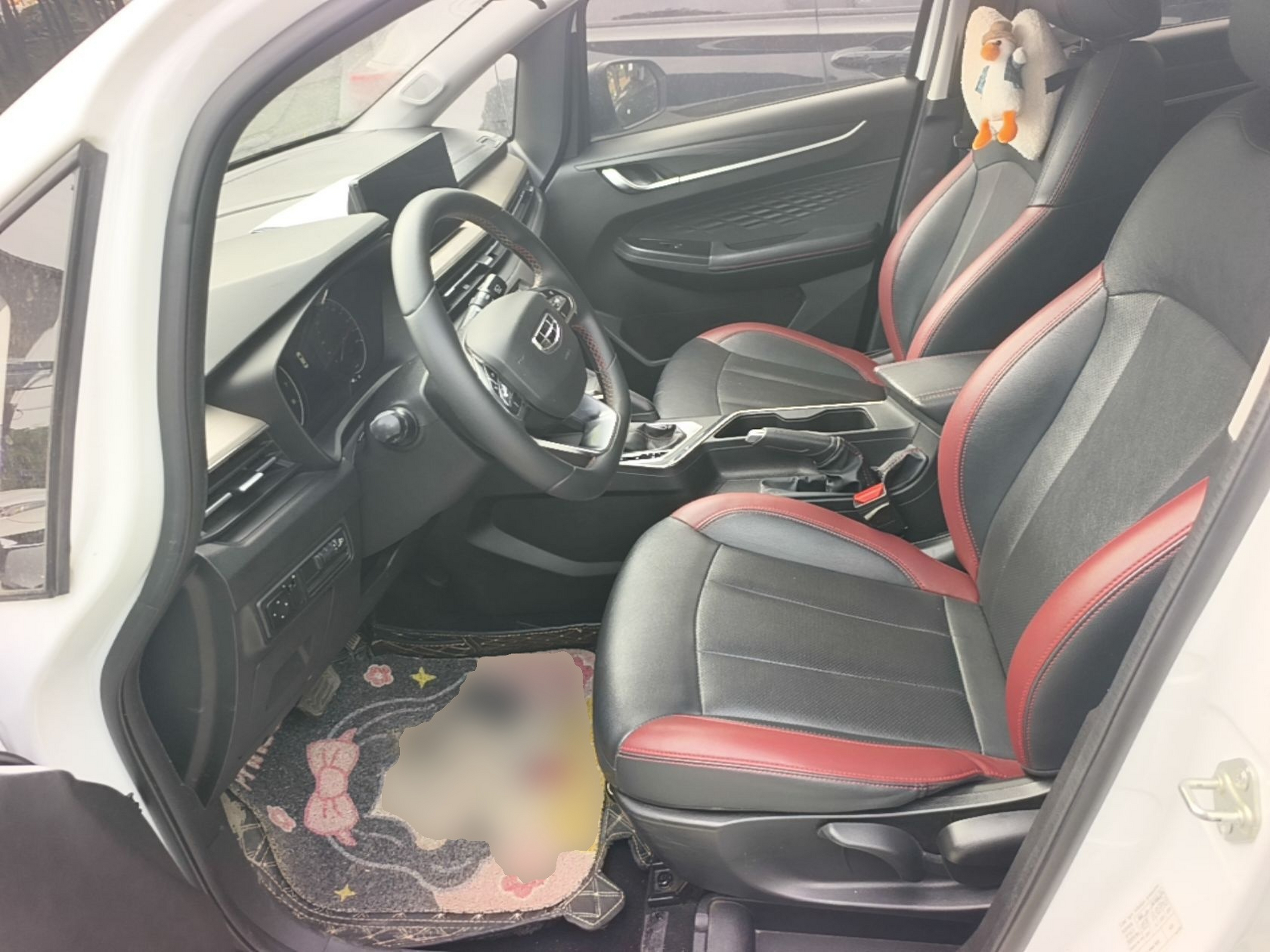 Interior delantero