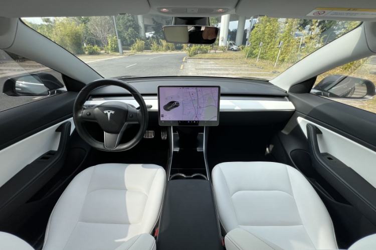 Used Tesla Model 3 (Import) 2019 Long-Range Rear-Wheel-Drive Version